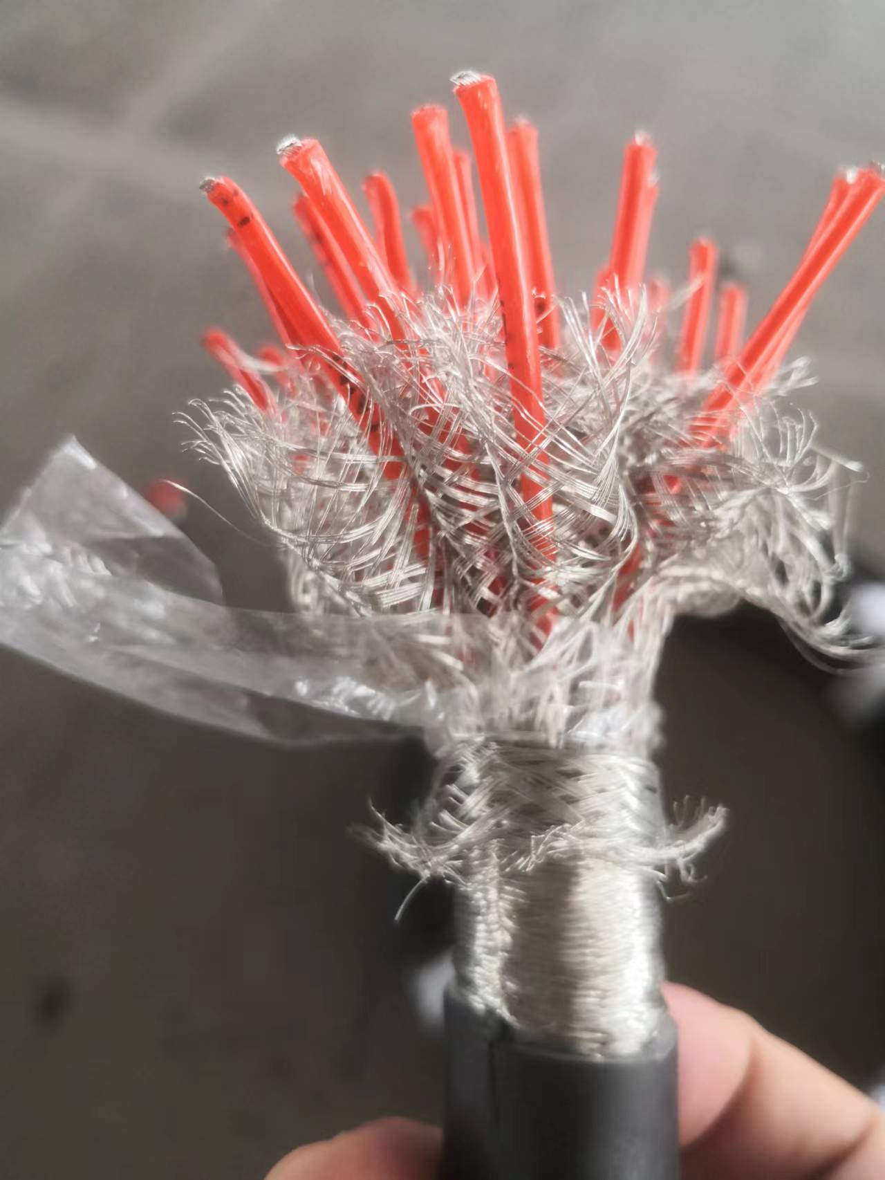 DFFP1FP1 DJFP1FP1͸ߜӋC|